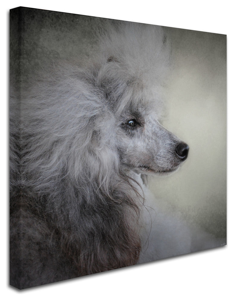 Jai Johnson 'Longing Silver Standard Poodle' Canvas Art, 35 x 35
