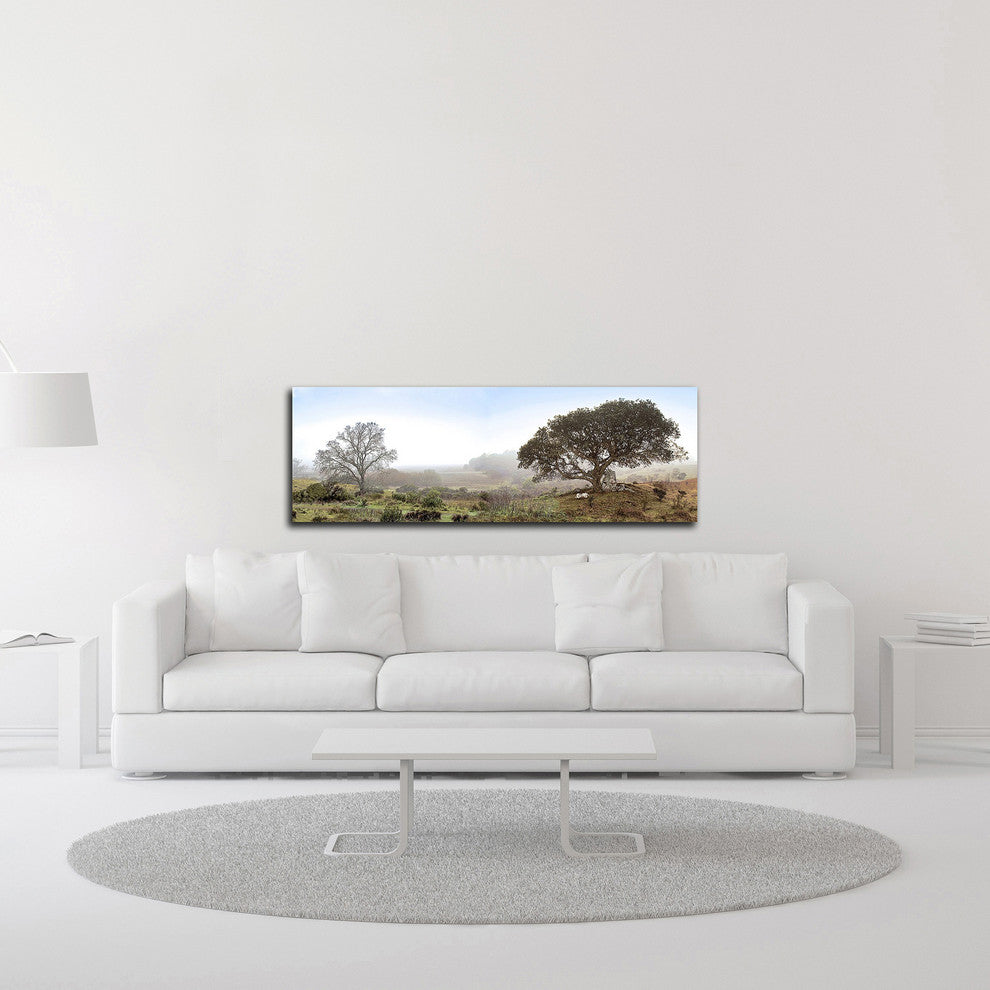 Sonoma Oak Trees No. 1 by Alan Blaustein, Print on Canvas, 36" x 12"