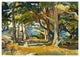 "Cedar Grove by the Sea, ca. 1916" Paper Print by Paul Dougherty, 42"x30"