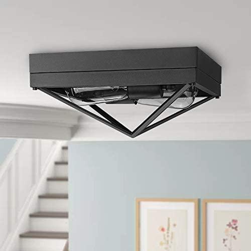 2 Light Close To Ceiling Light Fixture, Farmhouse, Black Flush Mount