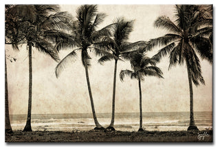 A Thousand Trees' Canvas Art Print, 12"x16"