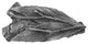 Leafy Twig Knob Antique Brass, Antique Pewter
