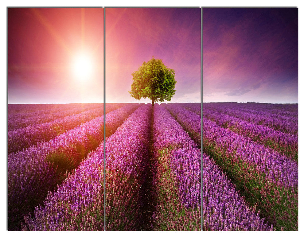 Purple Sky over Stunning Lavender Field, Floral Canvas Print, 36x28, 3 Panels