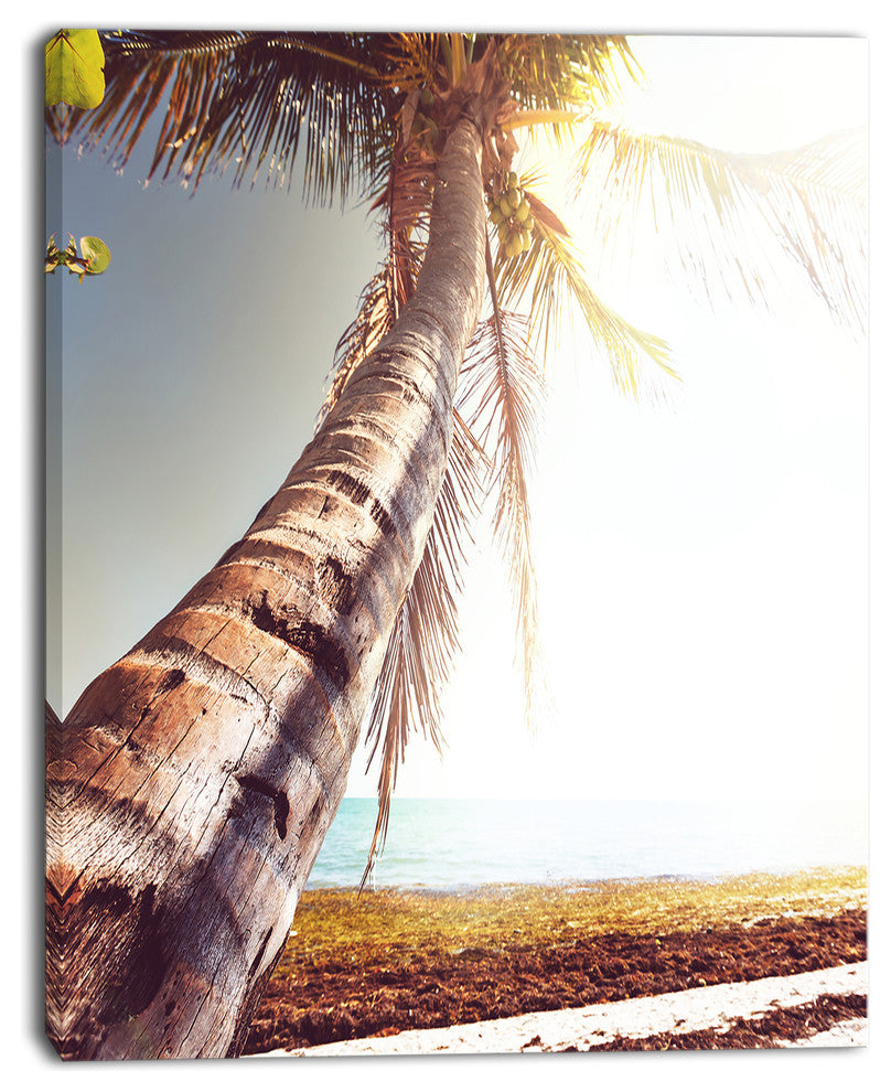 Huge Bent Coconut Tree To Beach, Landscape Wall Art on Canvas, 30"x40"