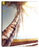 Huge Bent Coconut Tree To Beach, Landscape Wall Art on Canvas, 30"x40"