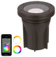 WAC Lighting 5831-CS Single Colorscaping 6"W 12V LED In-Ground - Solid Brass /