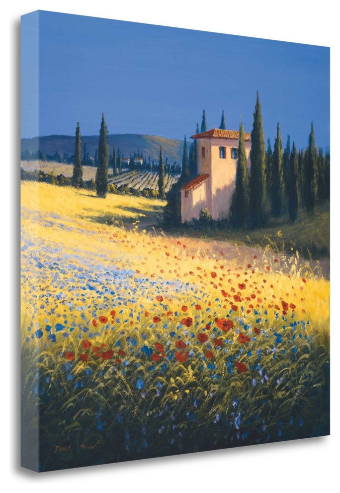 "Summer VIlla" By David Short,Ready to Hang Giclee Print on Gallery Wrap Canvas
