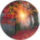Yellow Sun In Red Autumn Forest, Landscape Photo Disc Metal Art, 38"