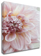 Blush Pink Dahlia by Brooke T. Ryan, Print on Canvas, 16"x24"