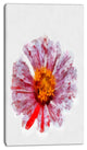 Large Red Yellow Flower Painting, Large Floral Canvas Artwork, 16"x32"