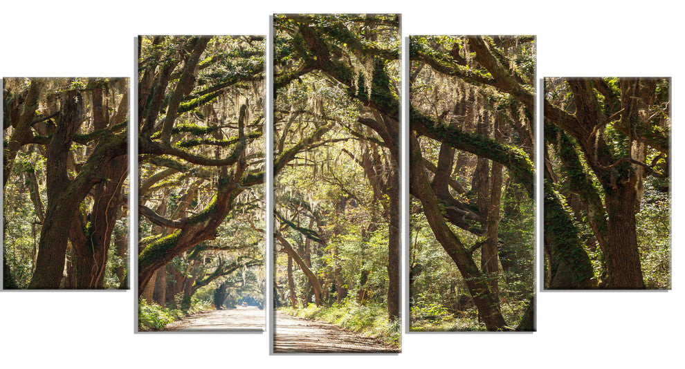 Trees Tunnel in Botany Bay, Landscape Wall Art on Canvas, 60"x32", 5 Panels