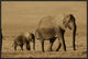 "African Elephant mother and calf, Kenya - Sepia"  by Tim Fitzharris, 31x21"