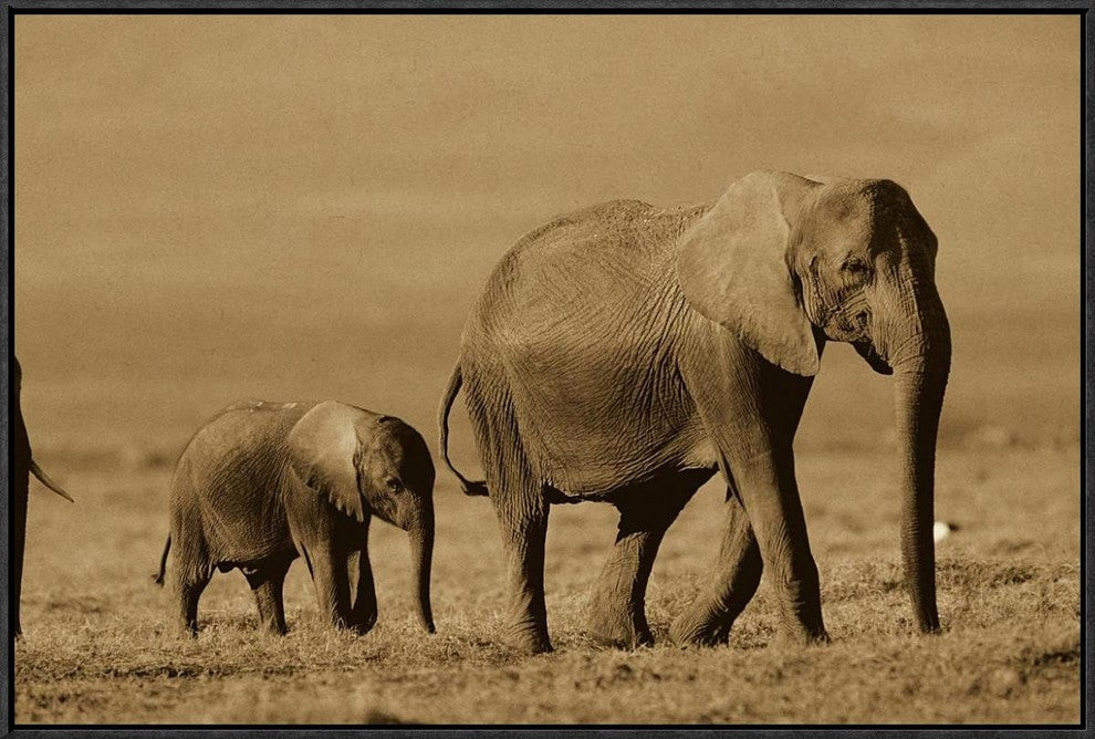 "African Elephant mother and calf, Kenya - Sepia"  by Tim Fitzharris, 31x21"
