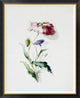 "A Scarlet Poppy and a Cornflower"  by Thomas Holland, 38x46"