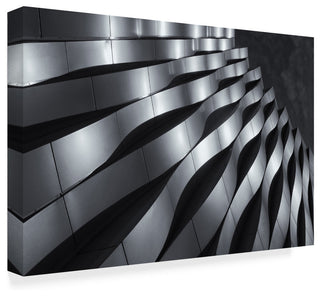 Jeroen Van De 'Waving Silver' Canvas Art, 32"x22"