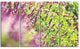 Beautiful Mint Flowers in Garden, Floral Canvas Art Print, 48"x28", 4 Panels