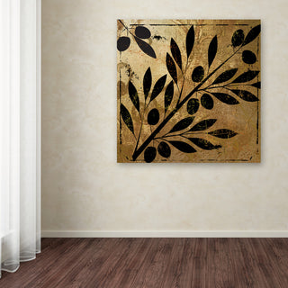 Color Bakery 'Bellissima II' Canvas Art, 35"x35"