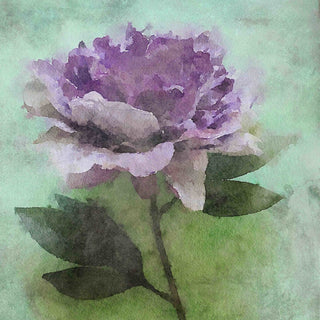 "Purple Delight" Print on Canvas by Irena Orlov