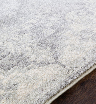 Harput Updated Traditional Light Gray, Charcoal Area Rug, 2'x3'