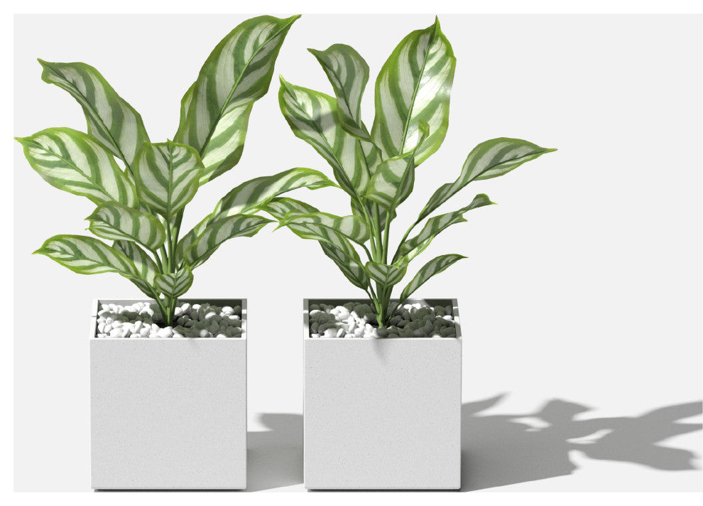 Veadek Geo Series Cube 5" Planter, White, 5 Inch, 2 Pack