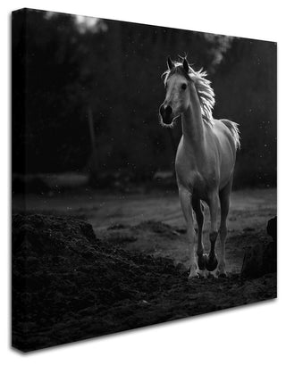 Abdullah Al-Saeed 'Coquetry' Canvas Art, 24 x 24