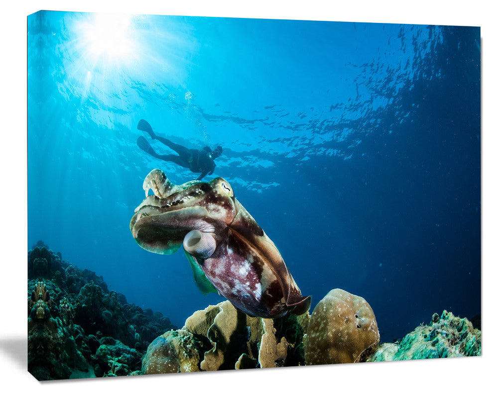 Broadclub Cuttlefish Underwater, Large Seashore Canvas Art Print, 60"x28"
