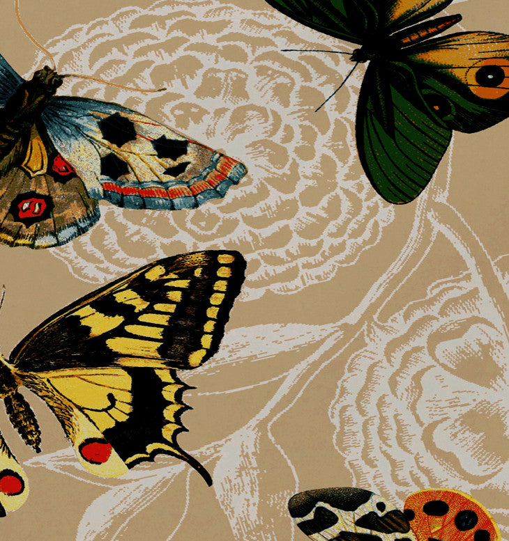 18"x14" Antique Butterflies And Flowers, Animal Print Placemat, Taupe, Set of 4