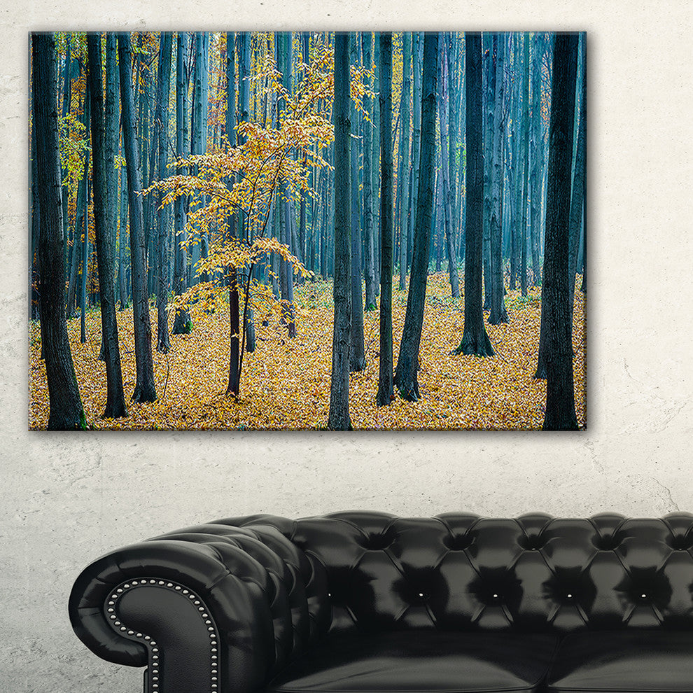 "Dense Autumn Beach Forest" Oversized Forest Canvas Artwork, 1 Panel, 60"x28"