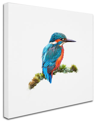 The Macneil Studio 'Kingfisher 1' Canvas Art, 35"x35"