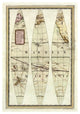 "Globo Terrestre II, 1792" Paper Print by Giovanni Maria Cassini, 23"x32"