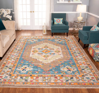 Noori Rug Distressed Hester Brown/Blue Rug