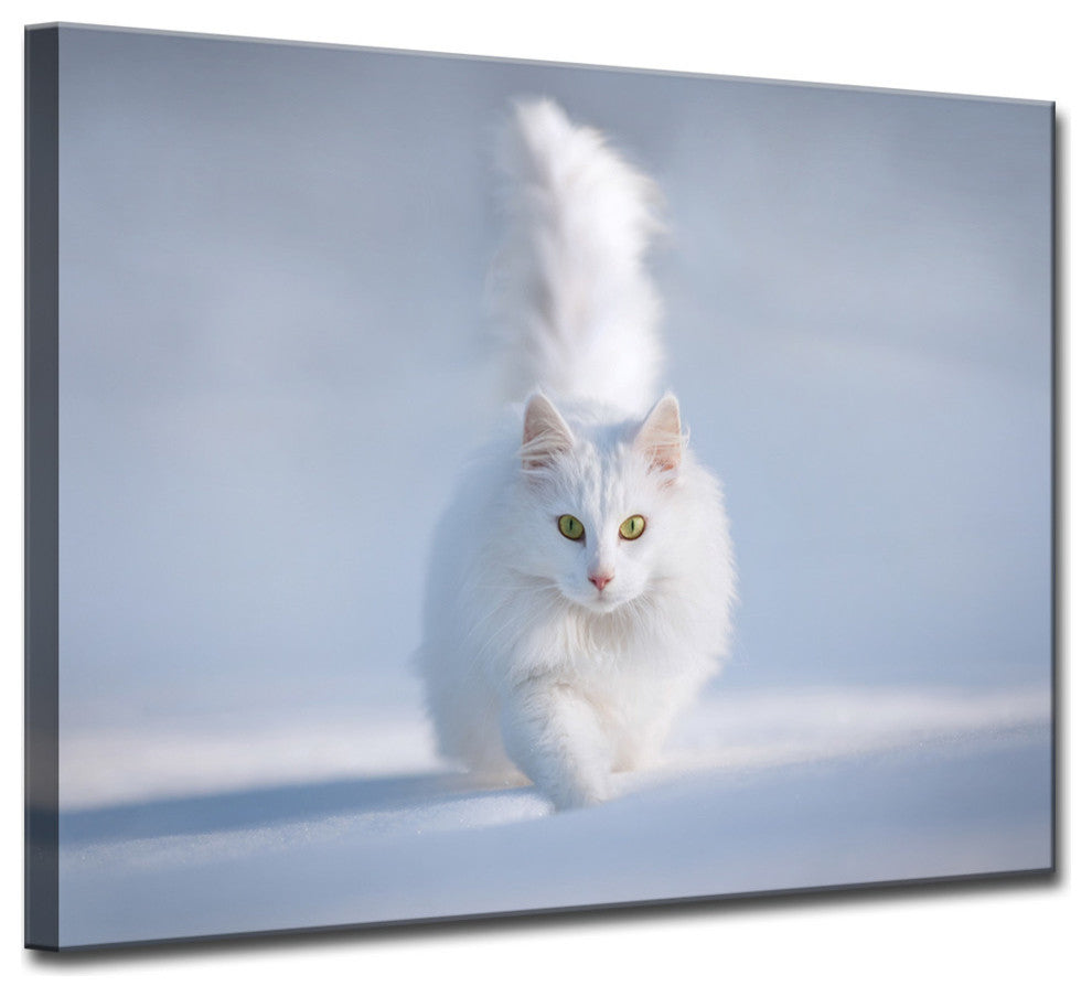 Ready2HangArt 'Yellow Eyes' Wrapped Canvas Wall Decor, 30"x20"
