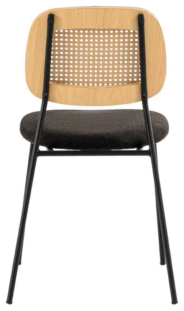 Modern Alizee Modern Rattan and Black Dining Chair Set of 2