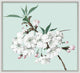 Powder Blue Blossom 10, Giclee Reproduction Artwork