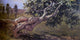 Fernando Cabrera Canto Paisaje Premium Canvas Print