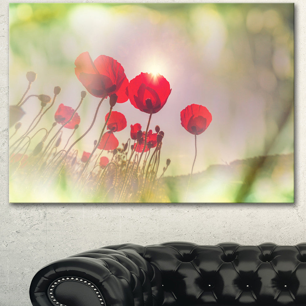 Wild Red Poppy Flowers, Floral Canvas Art Print, 40"x30"