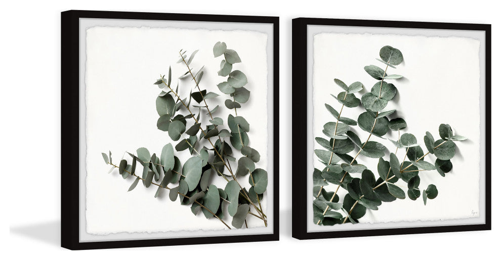 Eucalyptus Bloom Diptych, 2-Piece Set, 32x32 Panels