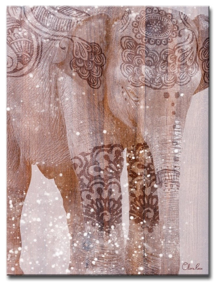 Ready2HangArt 'Wild Zen III' Inspirational Canvas Art by Olivia Rose, 40"x30"