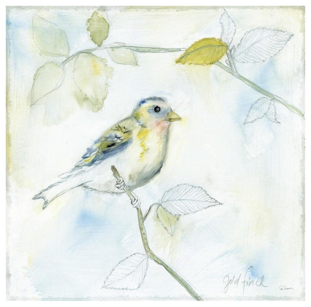 "Sketched Songbird I" Digital Paper Print by Sue Schlabach, 38"x38"