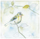 "Sketched Songbird I" Digital Paper Print by Sue Schlabach, 38"x38"