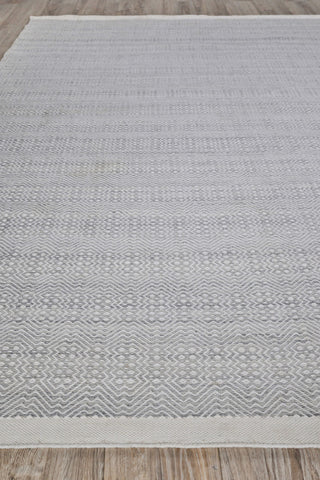 Echo Indoor/Outoor Flatwoven PET yarn Light Silver/Ivory Area Rug