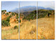 "Cyprus Landscape Panoramic View" Metal Wall Art, 3 Panels, 36"x28"