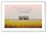 Opaque White 12" x 16" Harvest Season  Framed Print