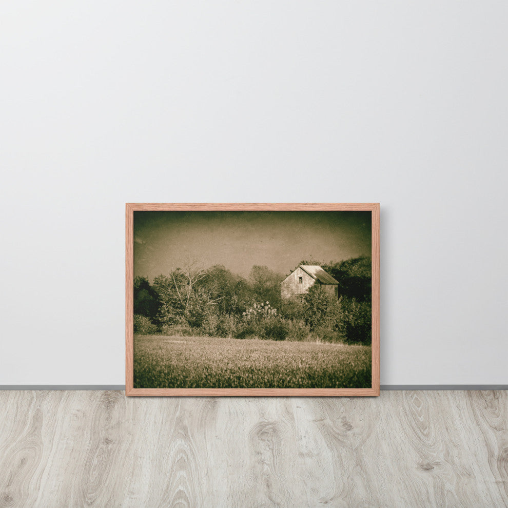 Abandoned Barn In The Trees Vintage Framed Photo Paper Wall Art Prints, Red Oak, 18" X 24"