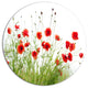 Poppies On White Background, Modern Floral Disc Metal Artwork, 23"