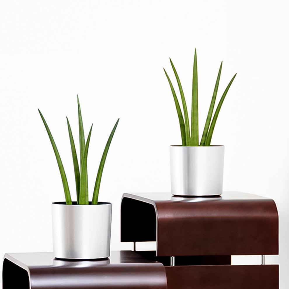 American Essence Odessa Modern Indoor Metallic Plastic Planter, Black Luster, 10.5"x10"