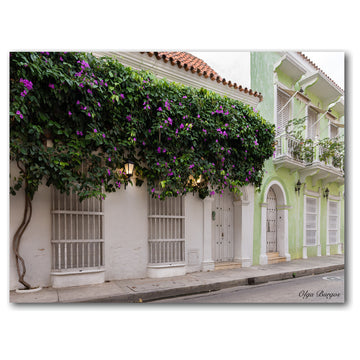 Indoor/Outdoor Wall Decor ''Provincial XIII'' in ArtPlexi, 16"x20"