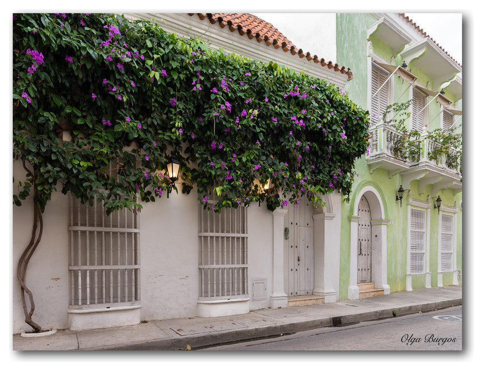 Indoor/Outdoor Wall Decor ''Provincial XIII'' in ArtPlexi, 16"x20"