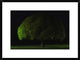 "Mushroom Tree" Framed Digital Print by Stelios Kirtselis, 30x22"