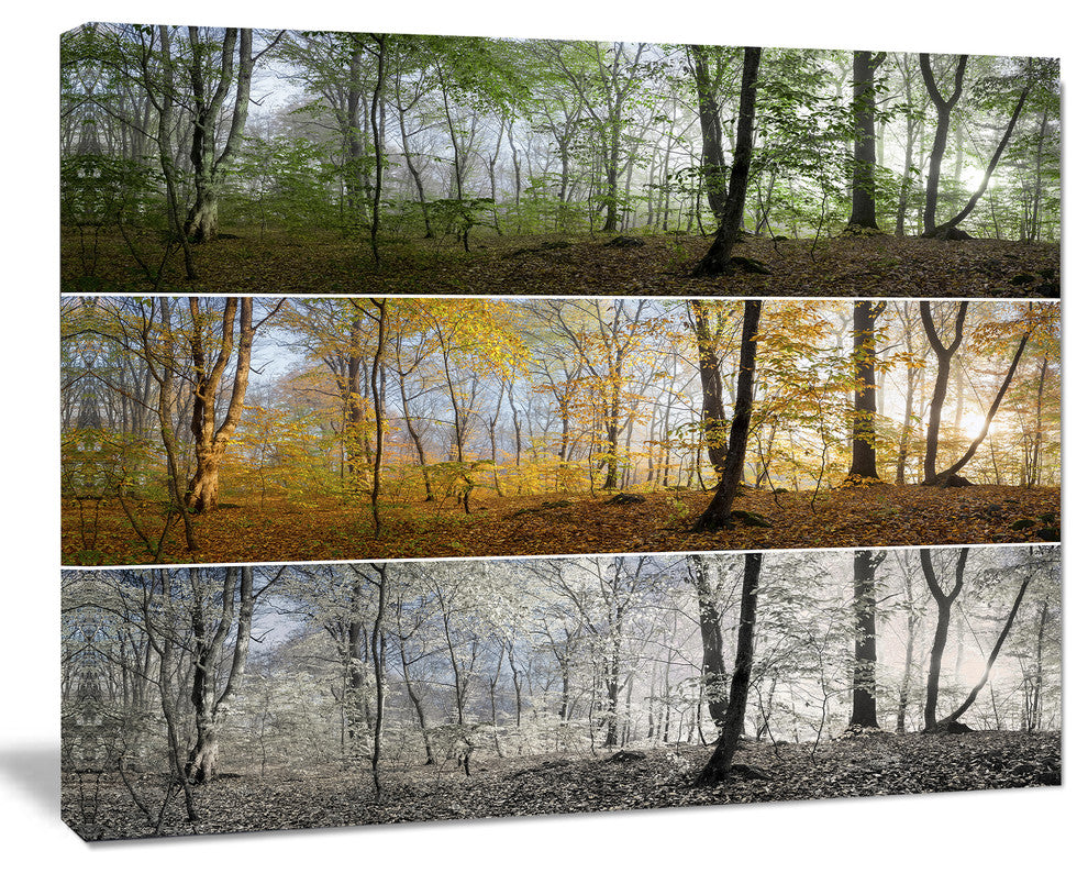 Three Seasons Forest Panorama, Large landscape Canvas Art Print, 60x40